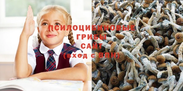ECSTASY Куйбышев