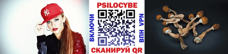 Галлюциногенные грибы GOLDEN TEACHER  Купить  Чистополь 